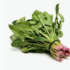 菠菜的食譜