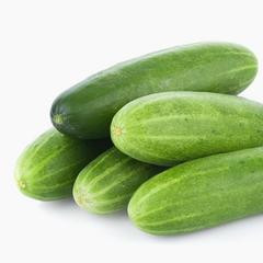 大黃瓜的食譜