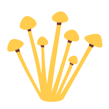 金針菇的封面圖