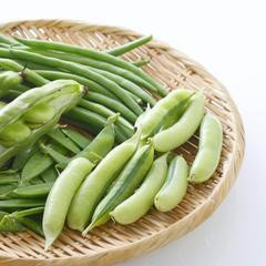 豆類蔬菜的食譜
