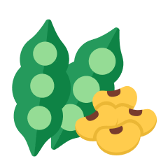 豆類蔬菜的食譜