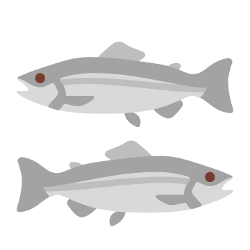 秋刀魚的封面圖