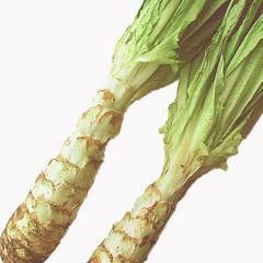 A菜心 (萵筍)的食譜