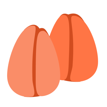 烏魚子的封面圖