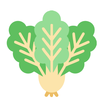 小白菜的封面圖