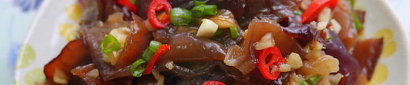 菌藻的分類封面圖