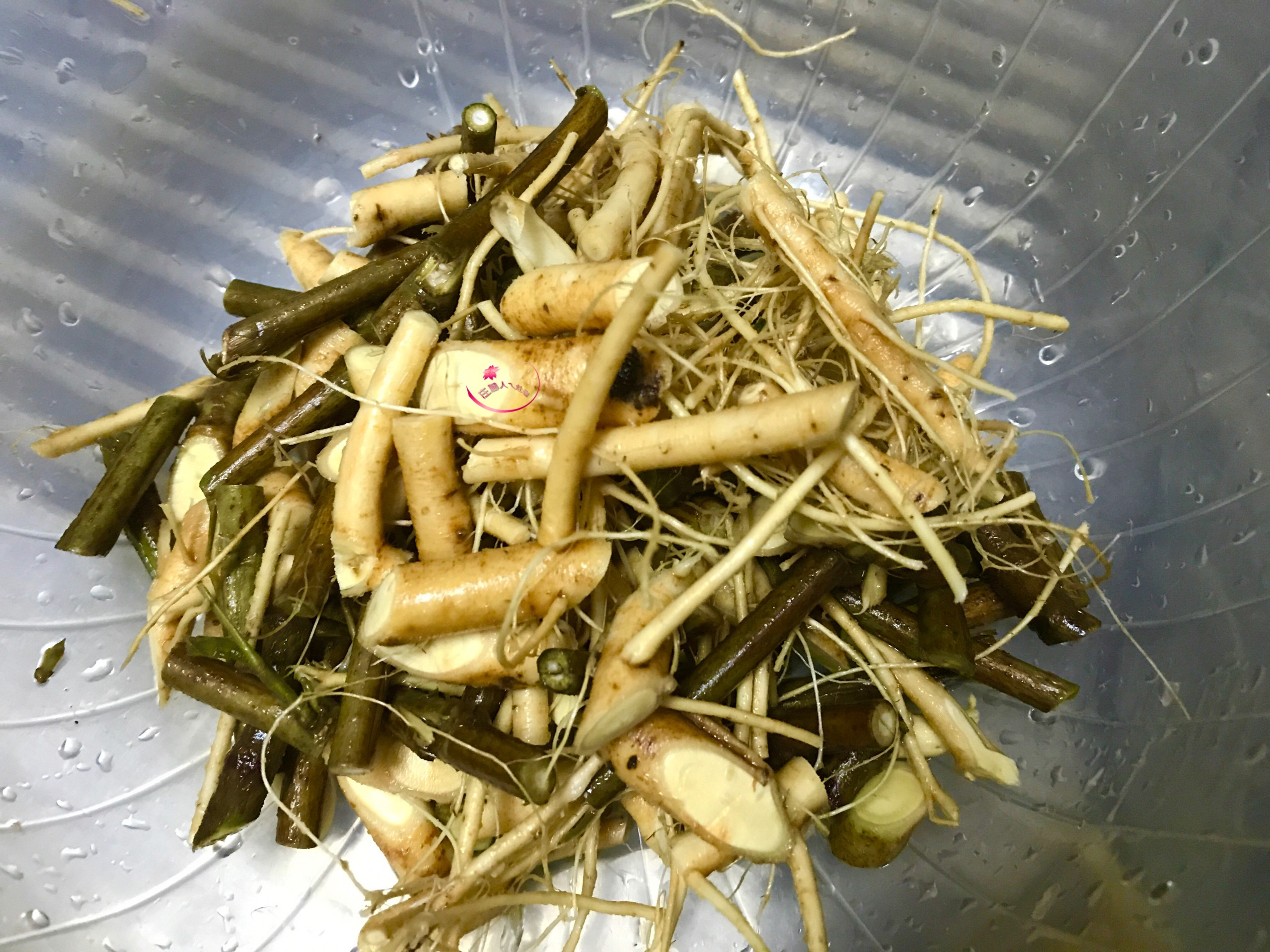 「WMF PRO 快力鍋評鑑團」開箱文的第 20 張圖片