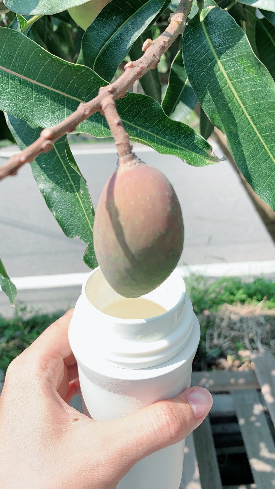保溫杯新革命—奇享杯體驗活動的第 4 張圖片