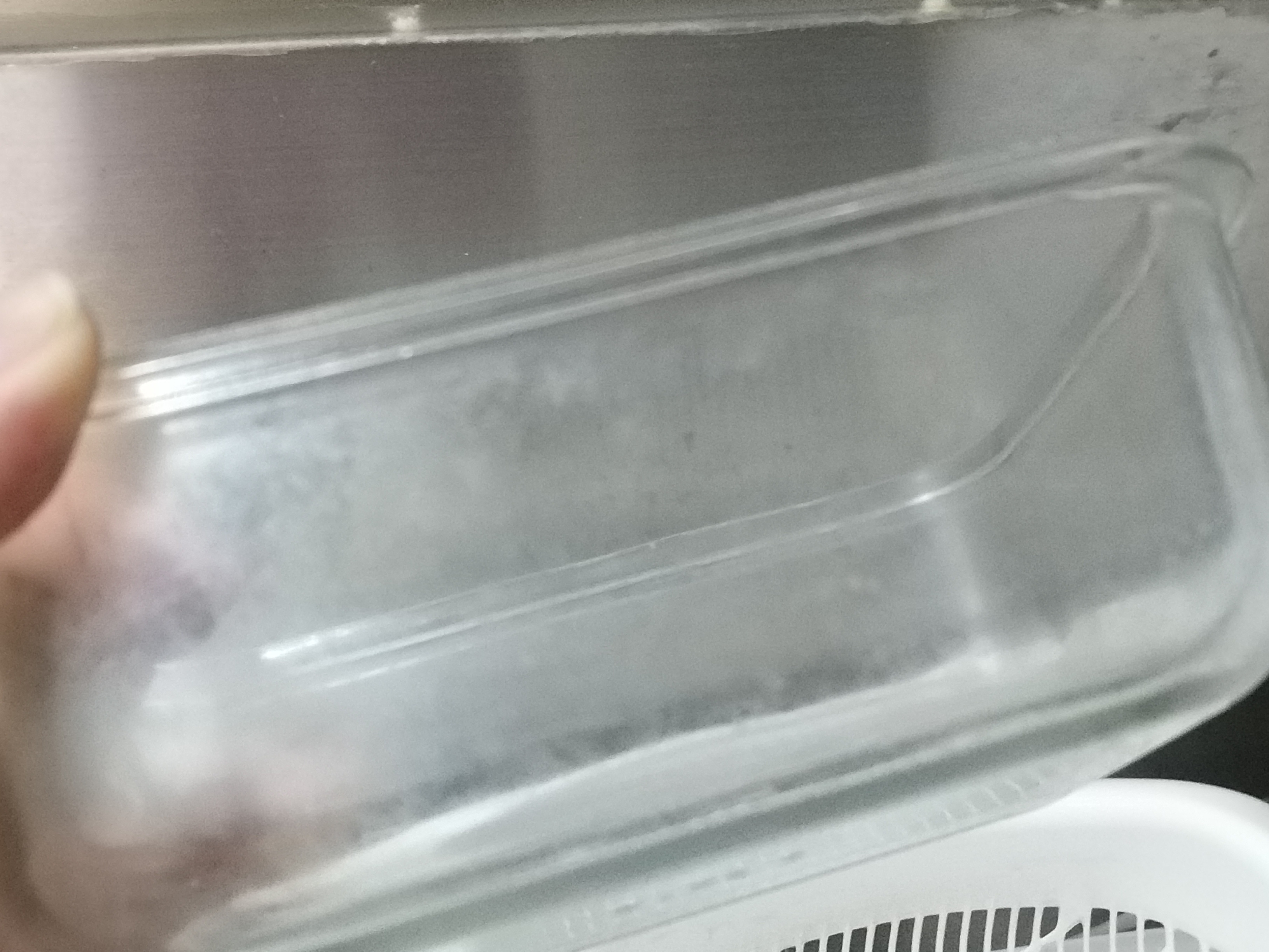 小廚房也有春天~海爾Haier小海貝洗碗機體驗的第 3 張圖片