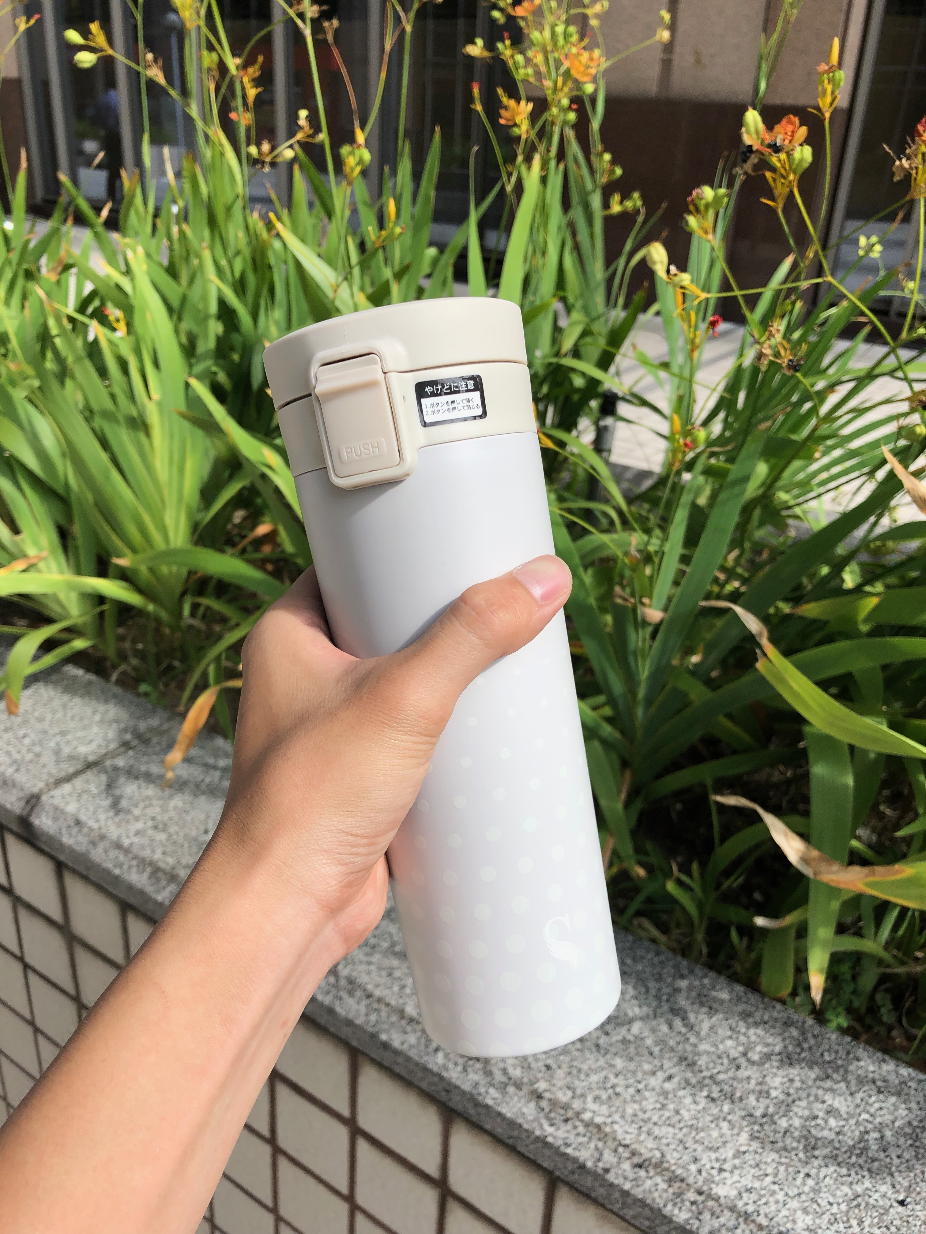 天鵝SWANZ陶瓷保溫彈跳杯 讓你展翅高飛每一天!的第 1 張圖片