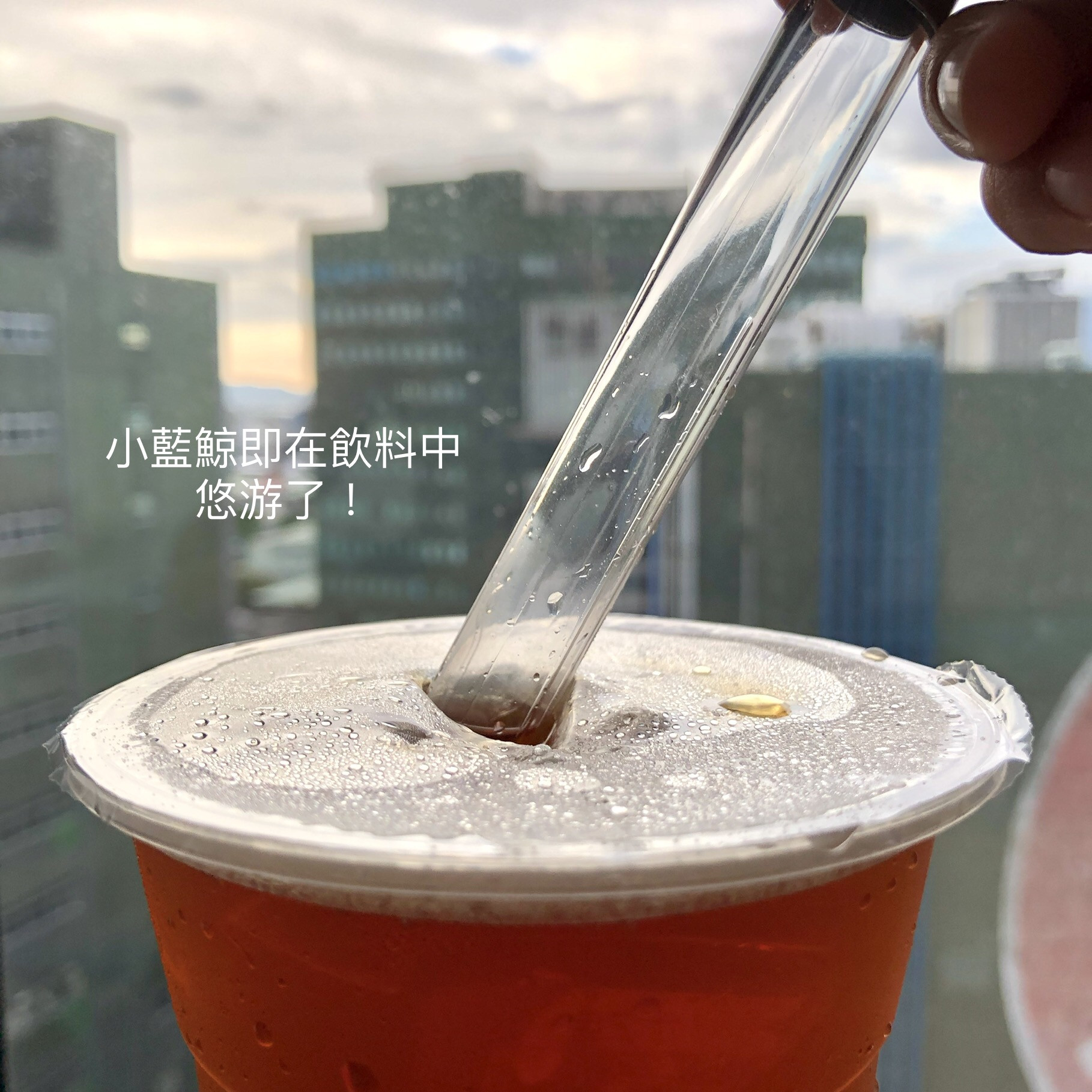 環保新主張:nubo 藍鯨吸管的第 7 張圖片