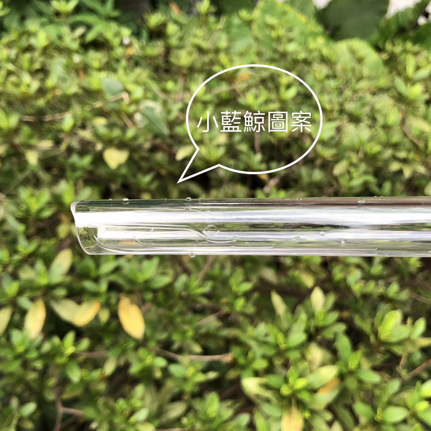環保新主張:nubo 藍鯨吸管的第 5 張圖片