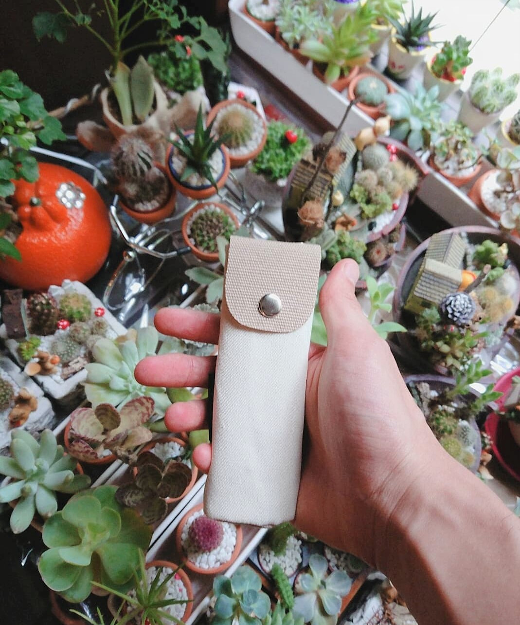 25歲歐爸的BLOG--nubo 藍鯨吸管的第 1 張圖片