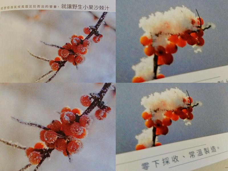 用橙十-沙棘汁-善待自己~養顏美容又睡好/每天都有好心情的第 1 張圖片