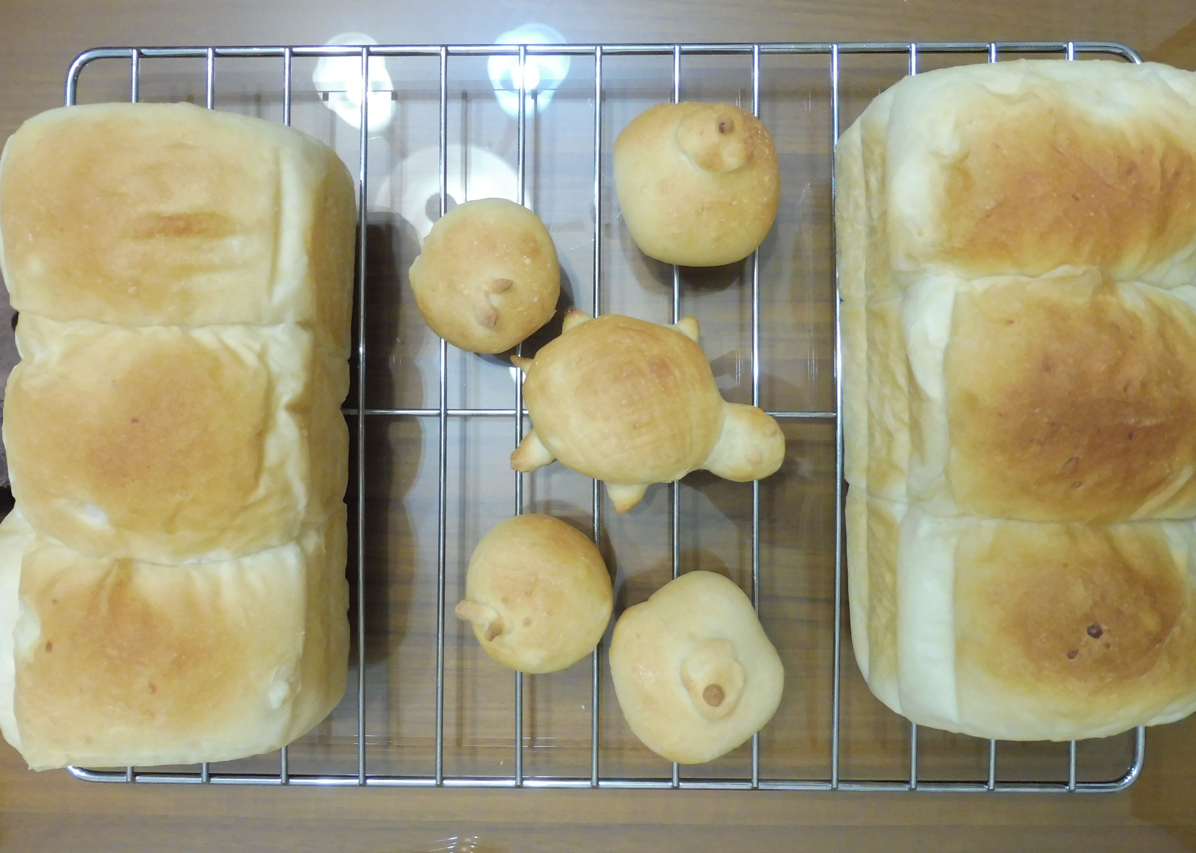 Potato cream toast + bread 杮杮Ruyi Ping An turtle by Jane Yu 愛料理