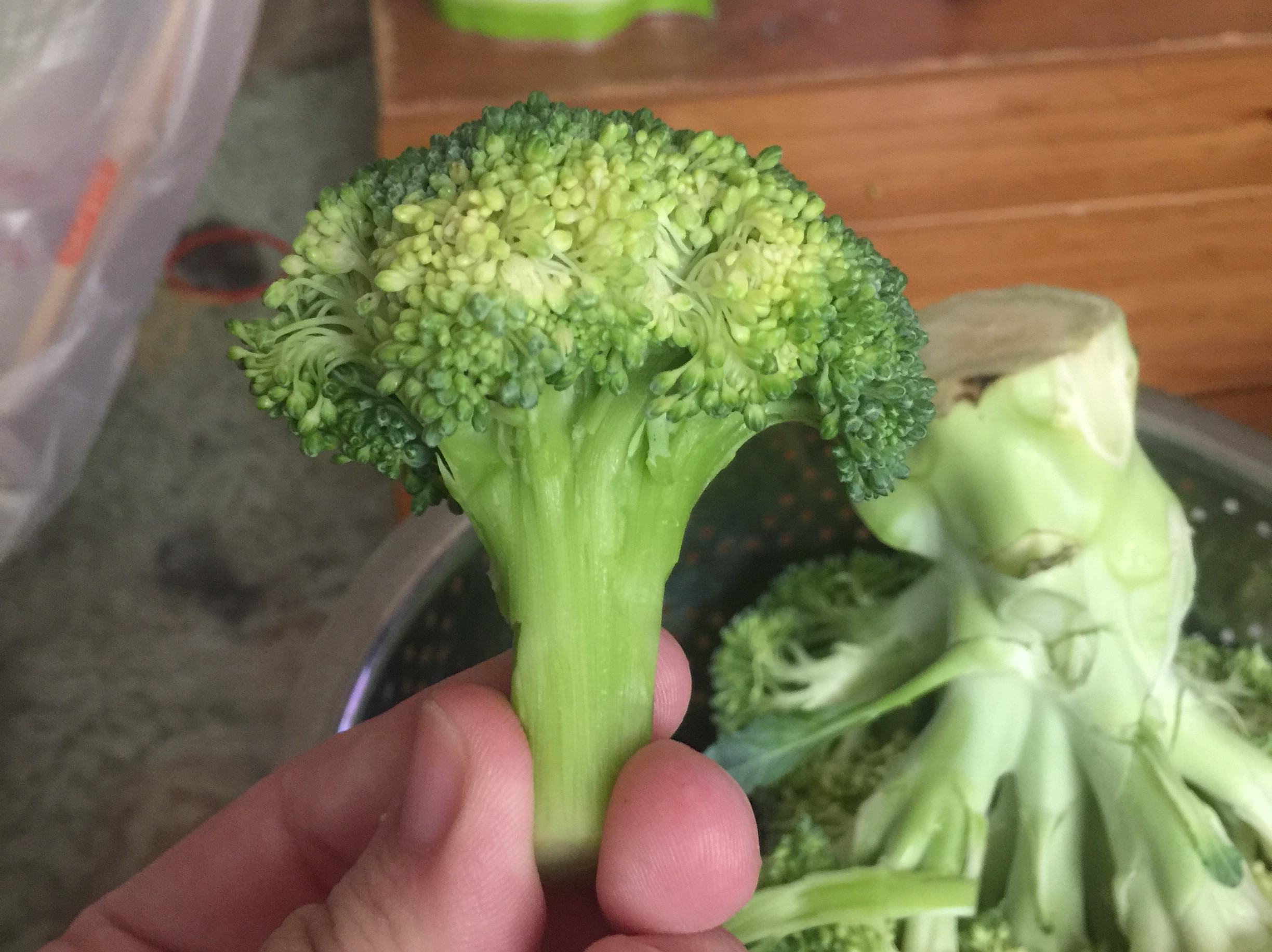 花椰菜剝絲by 小羽麻 愛料理