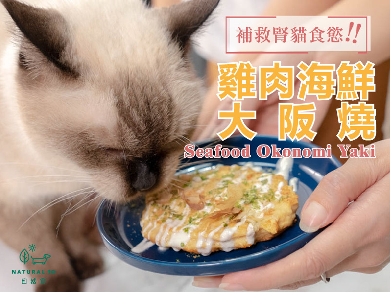 [寵物鮮食食譜] 貓鮮食，雞肉海鮮大阪燒