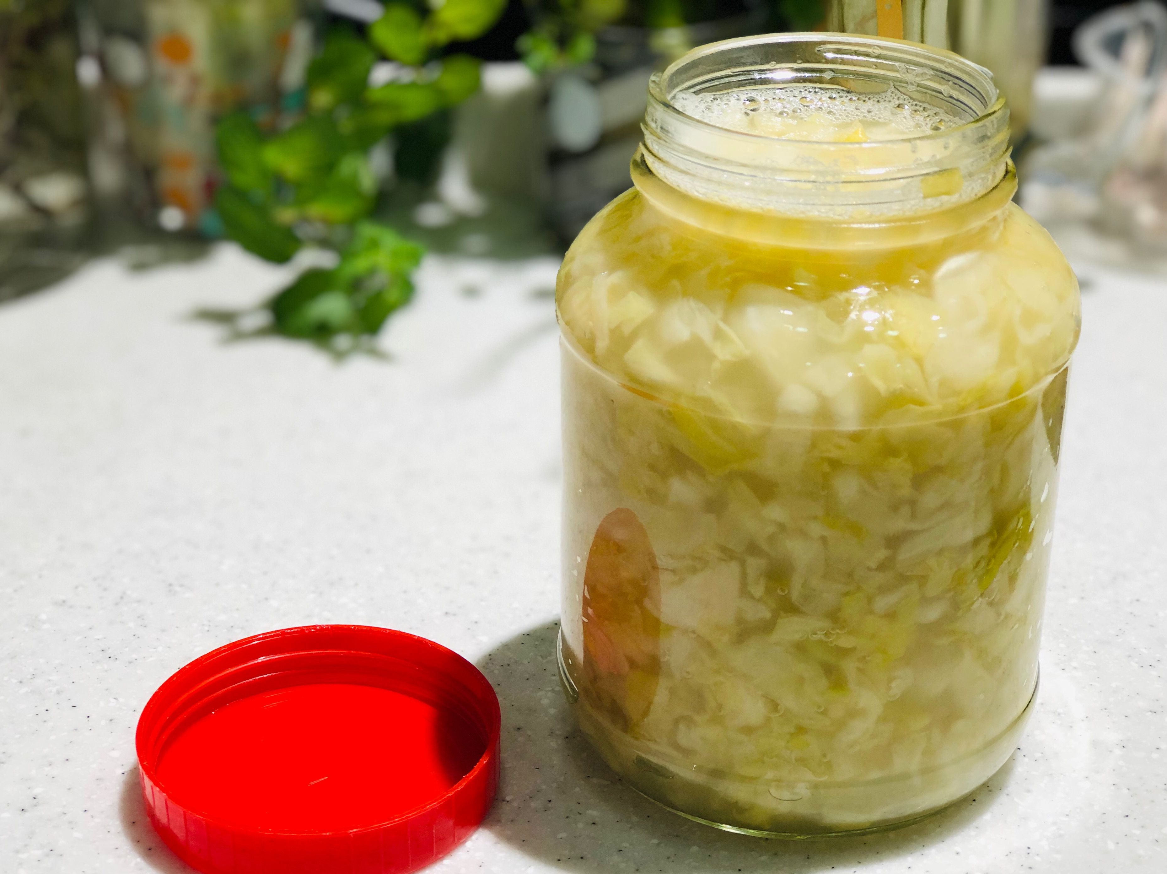 德式酸菜/塑膠袋版。高麗菜保存發酵食
