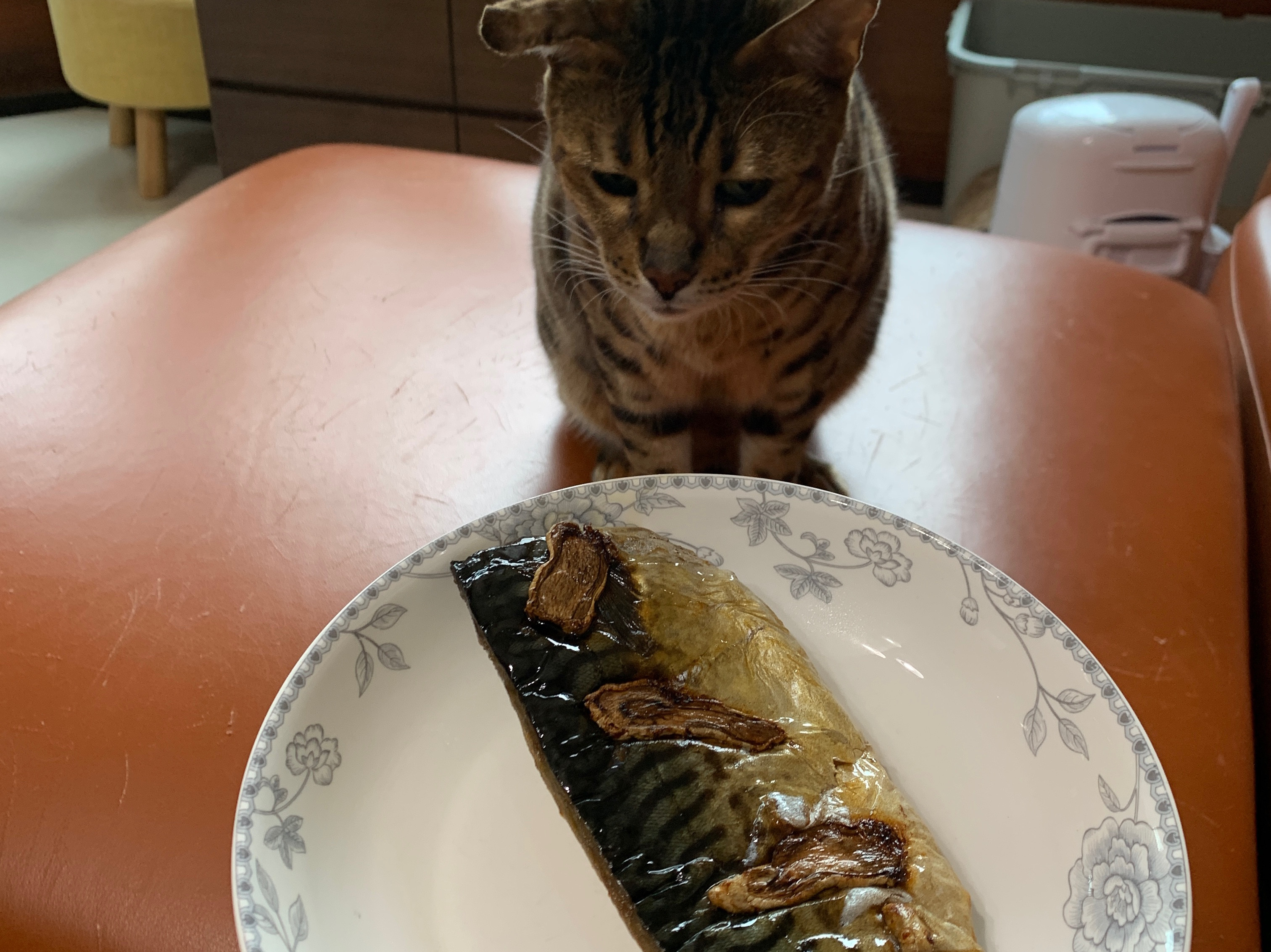 烤箱料理 烤鯖魚