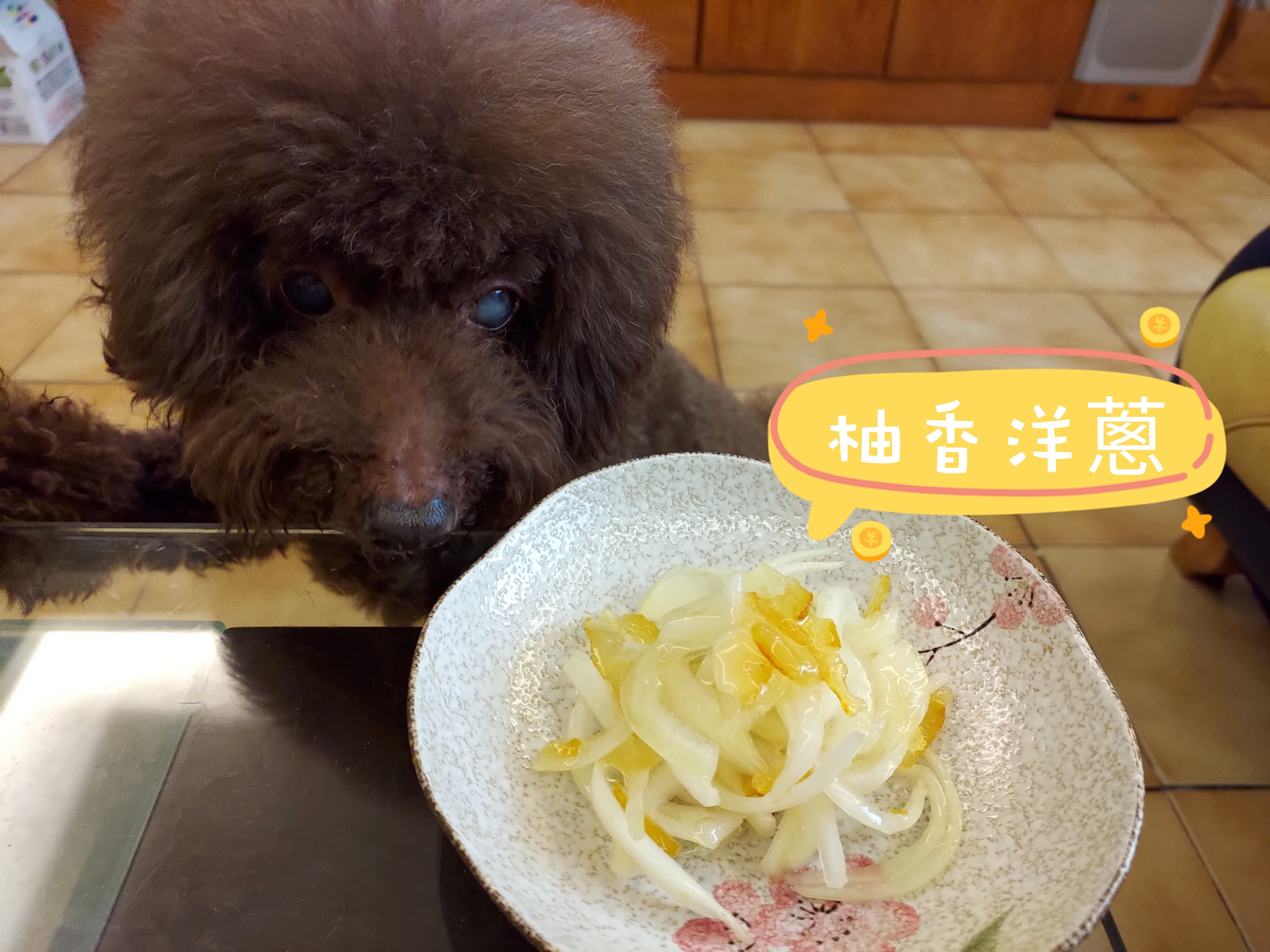 涼拌生洋蔥 和風柚香洋蔥 By Chou 愛料理