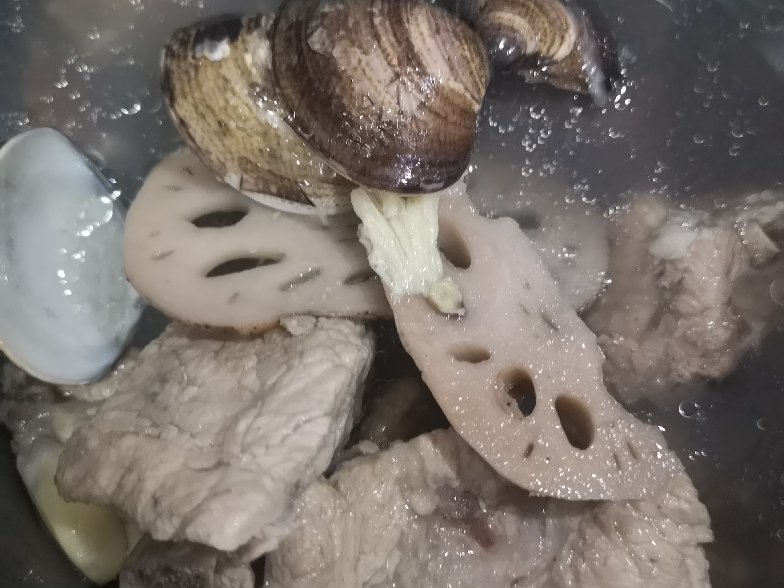 蓮藕蛤蠣排骨湯