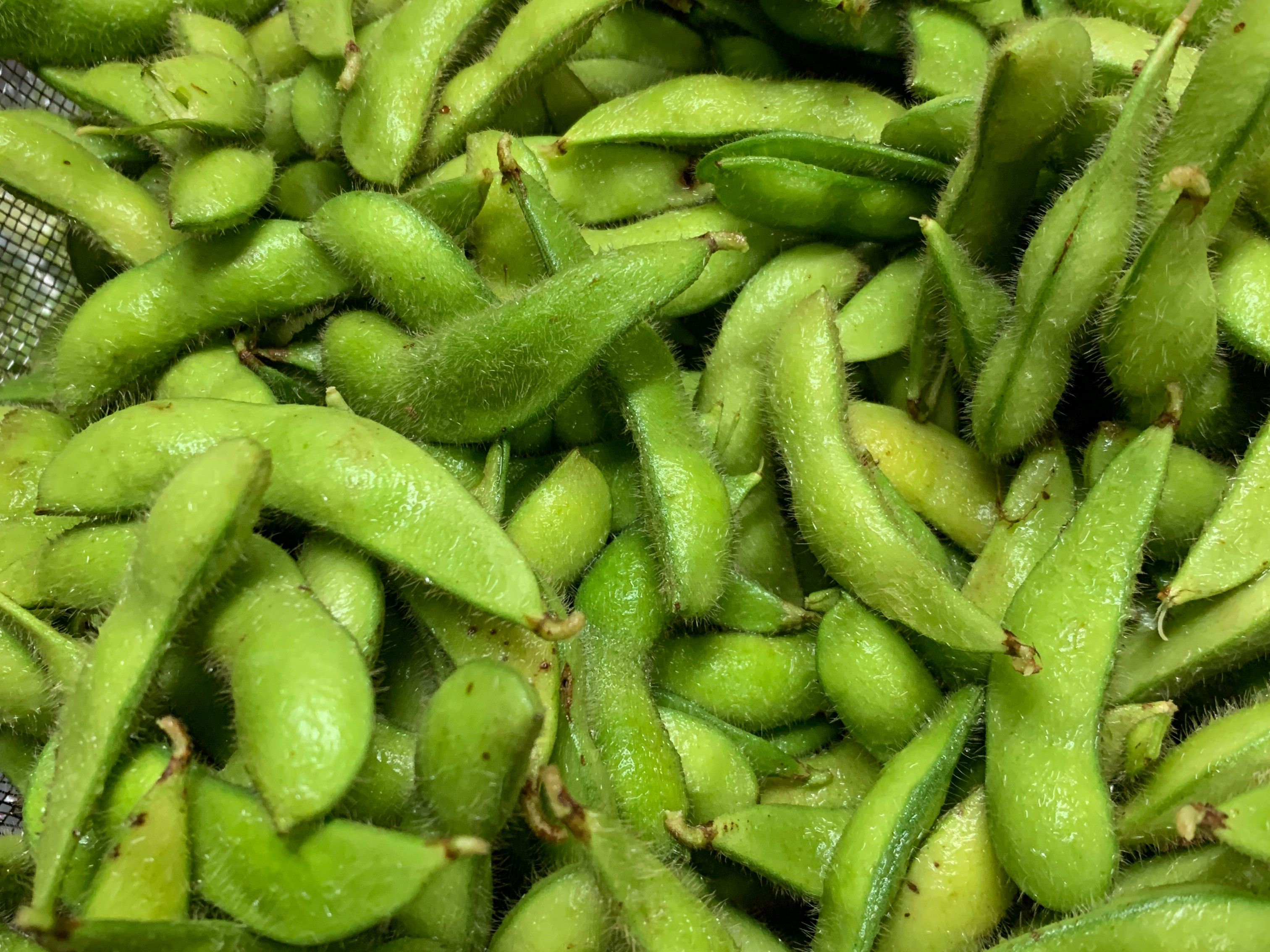 清煮毛豆by Jeje 愛料理