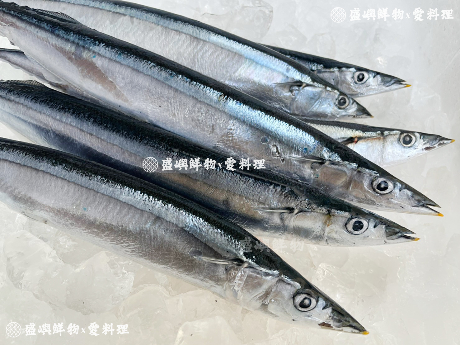 鹽烤秋刀魚by 盛嶼鮮物 愛料理