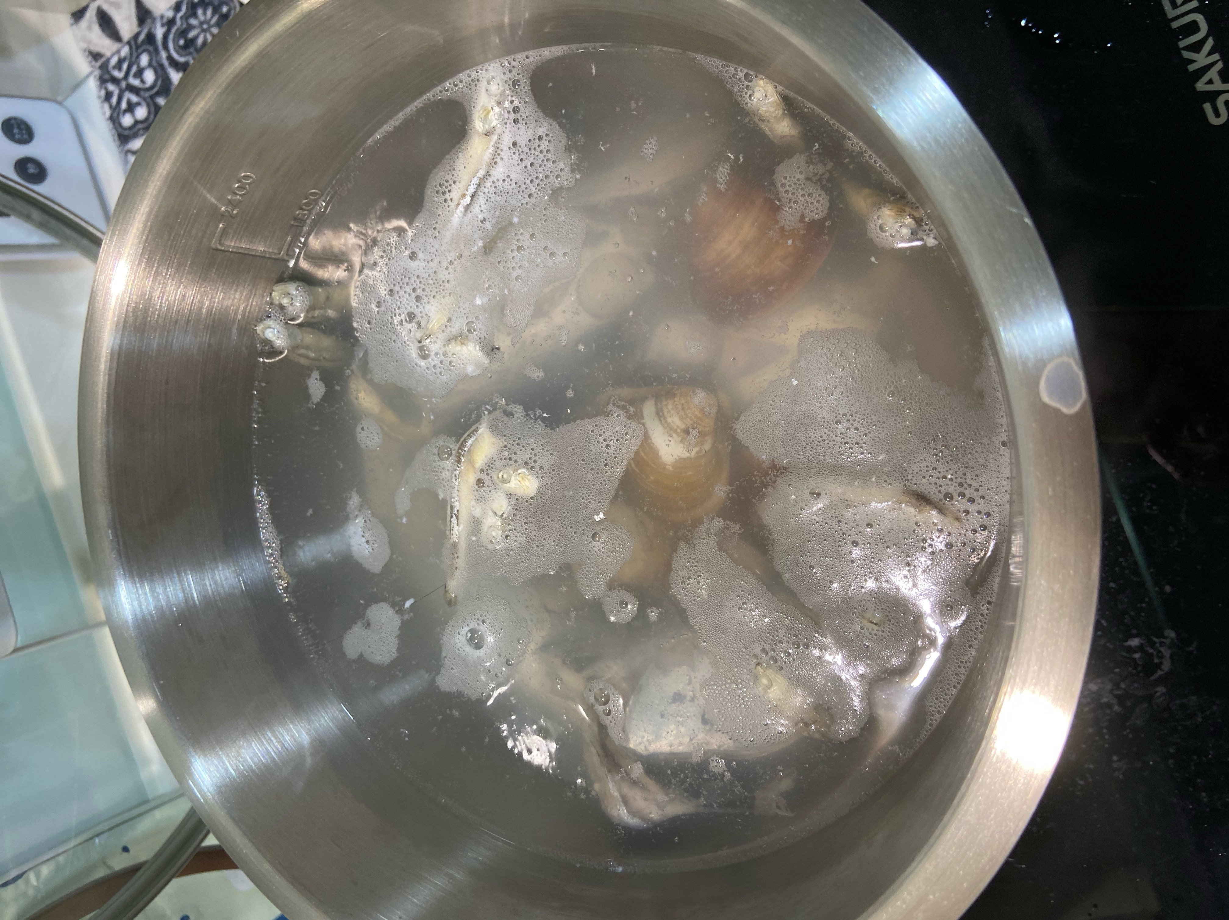 清甜蛤蜊魚頭湯 by 小蕊媽媽