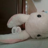 Thumb c0995ef8cd59ee3e