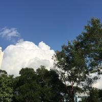 Thumb 2b624cf147a90363