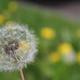 Thumb 987eecb5d597e3f0