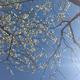 Thumb f742e36ad1c3d025