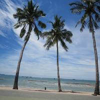Thumb 0871e38f3f59e208
