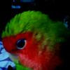 Thumb 596ca13564ea8402