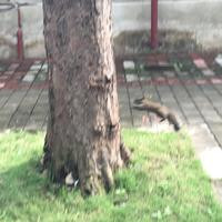 Thumb d2d09ddb81017212