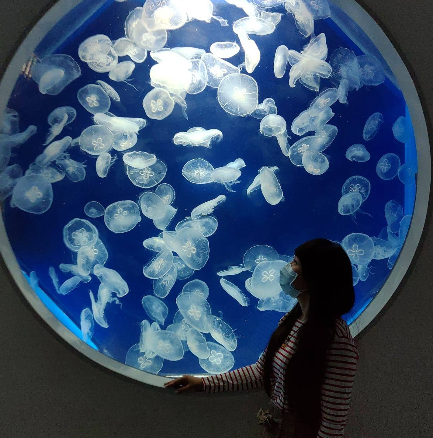 Lala Lau