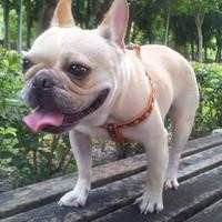 Thumb 330526e449dc1811