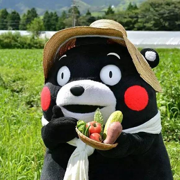 亂煮一通+育