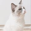 Thumb cf1833014b5ce7e4
