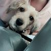 Thumb c14267d1def6d360