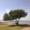Thumb b3470e5341c8a9bf