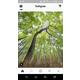 Thumb 7192f13b74ad4428