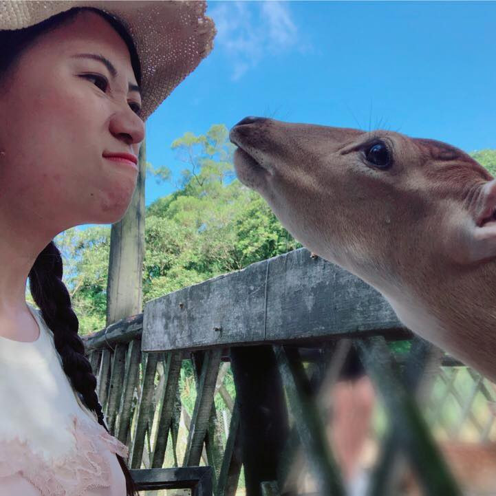 涼仔