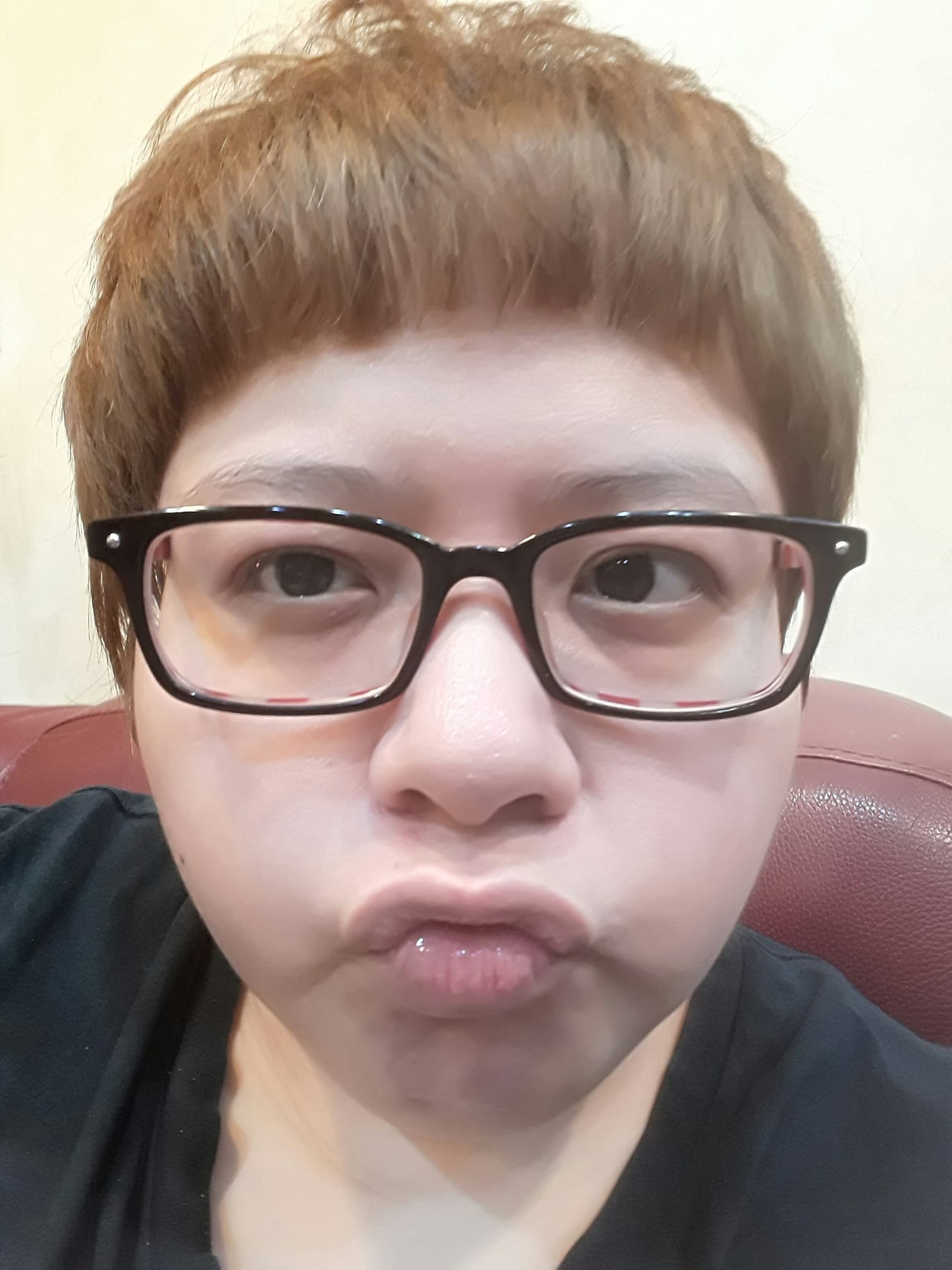李家蓁