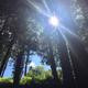 Thumb 68097316ef2b20b5