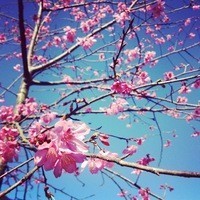 Thumb 9e60a5367c5b5395