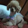 Thumb e720f2ad1324b8a9