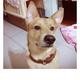 Thumb 9518367d09aa9bb8