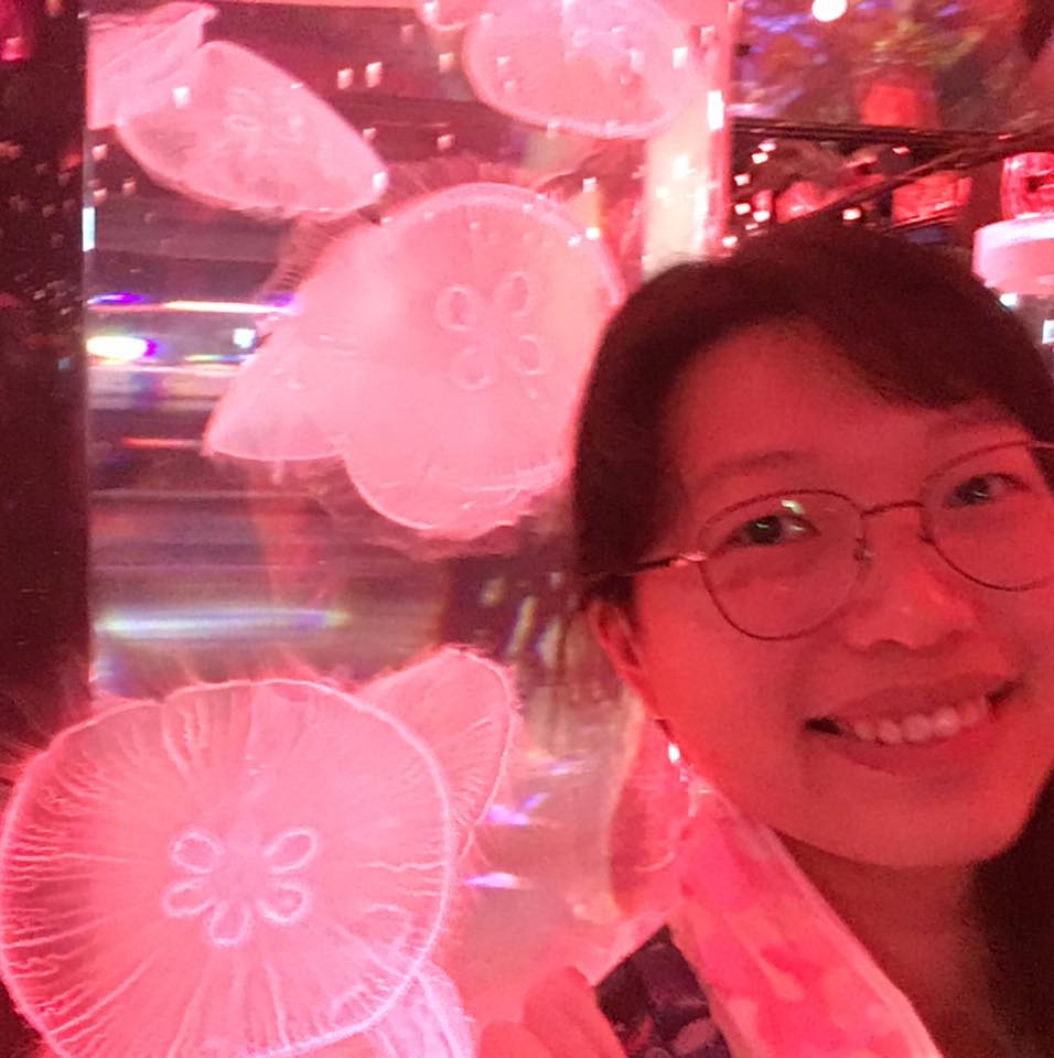 Shuhui Wu