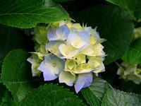 Thumb d560ba6a7a152326